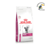 ROYAL CANIN RENAL FELINE 2 Kg