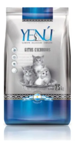 YENU GATO CACHORRO KITTEN