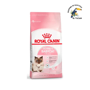 ROYAL CANIN Mother & Babycat 1,5 Kg