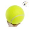 PELOTA DE TENIS GIGANTE INFLABLE