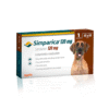 Simparica 40 A 60 Kg