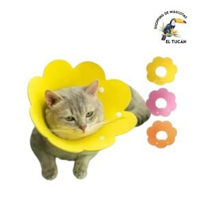 COLLAR ISABELINO FLOR MASCOTA TALLE L