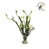 PLANTA PARA ACUARIO ECO 30CM X 2 UNIDADES