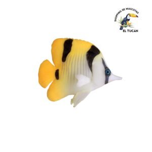 PEZ RANA DE GOMA PARA PECERA