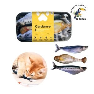 A (13) Peces interactivos x3