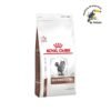 Royal Canin Feline Gastroinstestinal 2kg