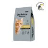 OLD PRINCE PREMIUM URINARIO GATO 3KG
